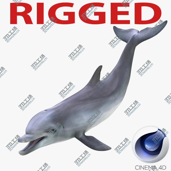 images/goods_img/20210312/Dolphin Rigged for Cinema 4D/1.jpg